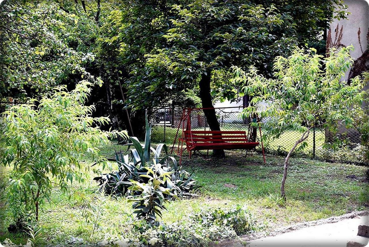 Guest House Qedi Jvari 外观 照片